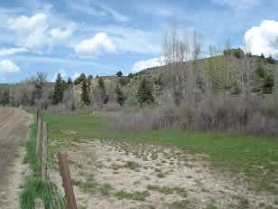 Muddy Creek At McClure Pass