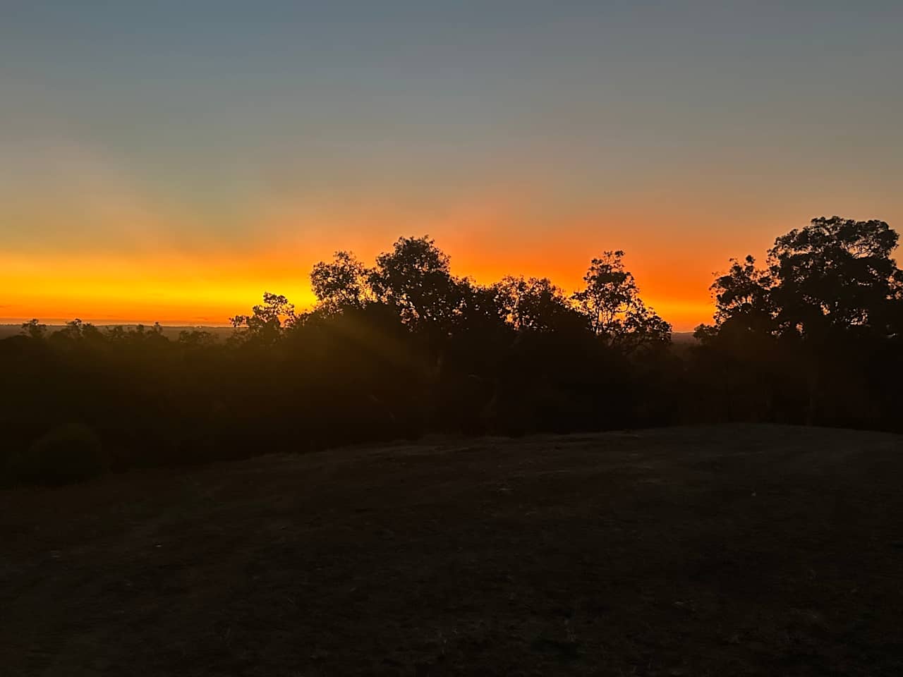Yarrabah High Country- Jarrahdale