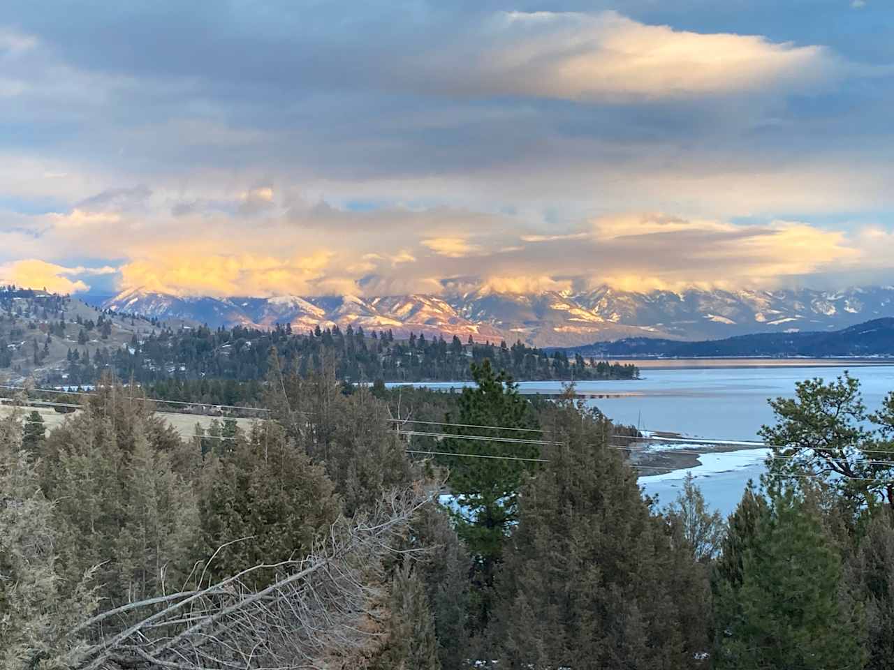 Woody's On Flathead Lake