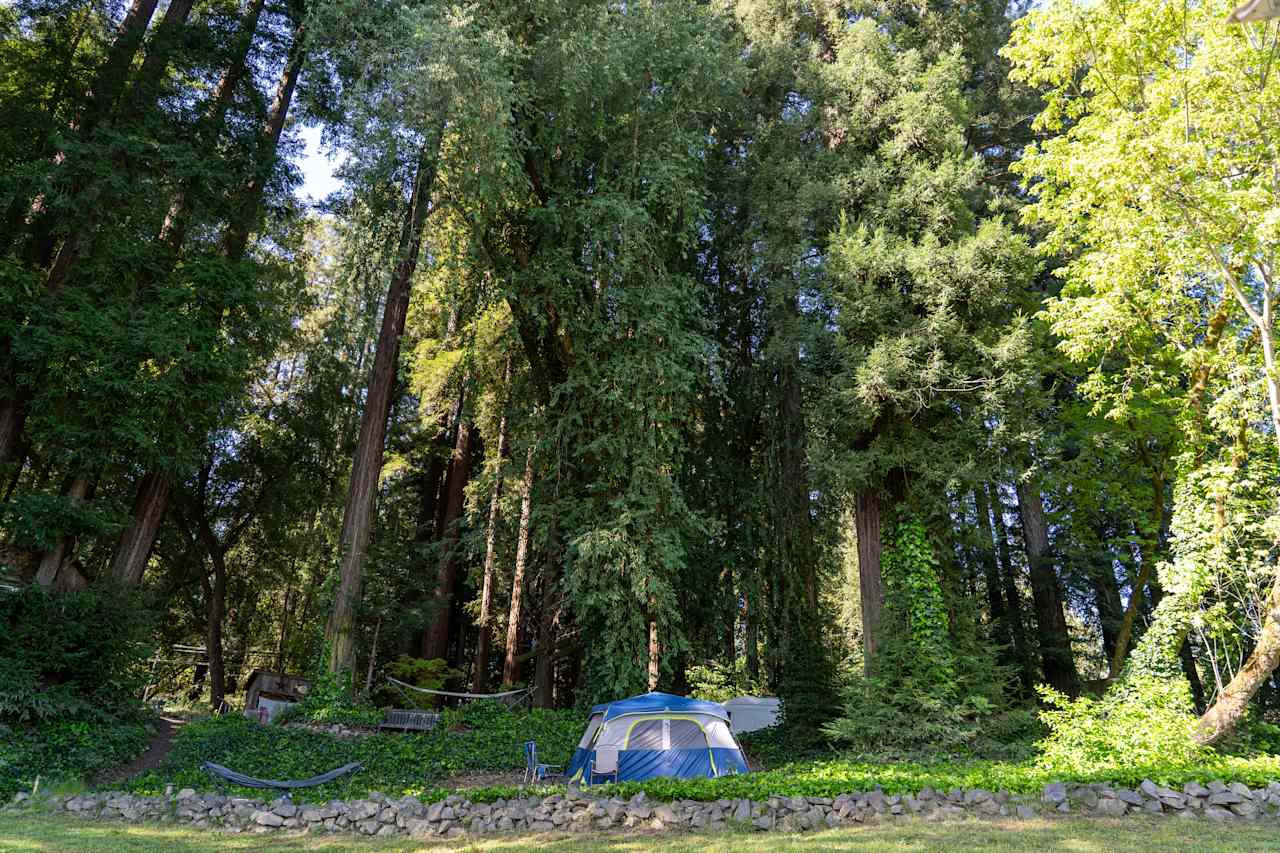 Campsite on the middle level