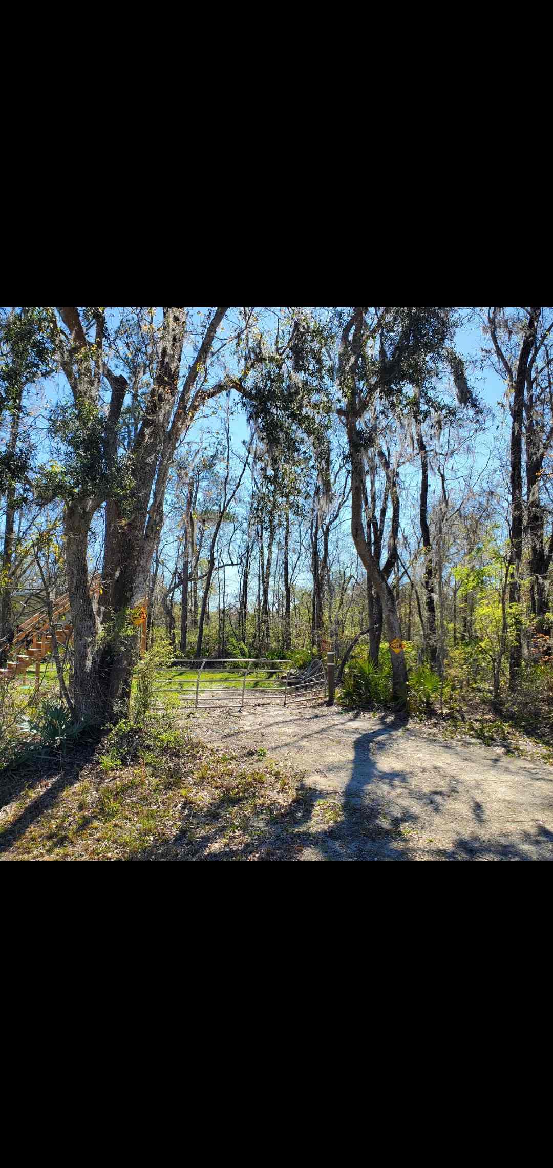 Suwannee River Campsite