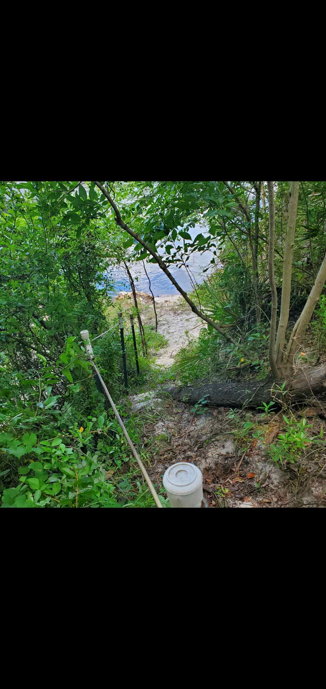 Suwannee River Campsite