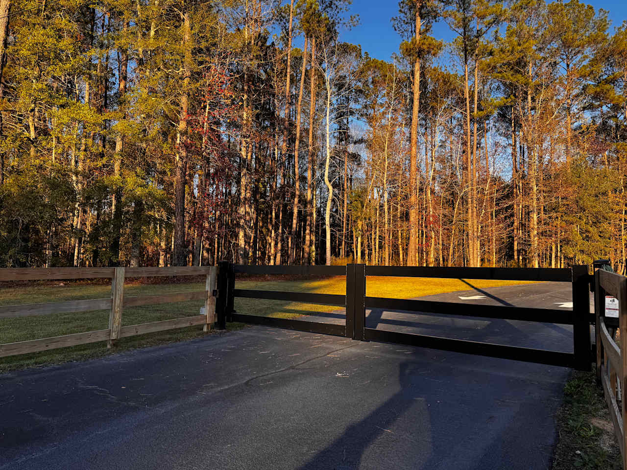 Private Georgia Forest