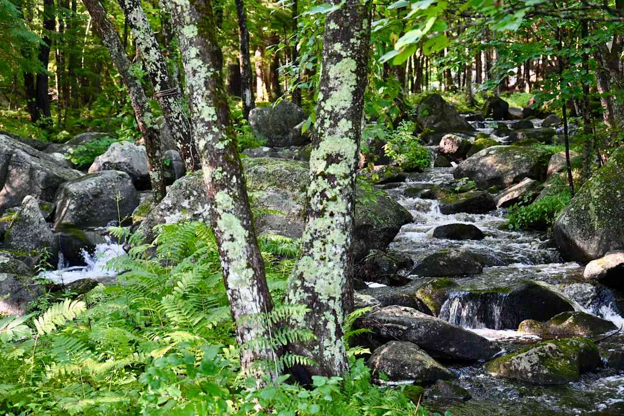 Stonybrook Cascade