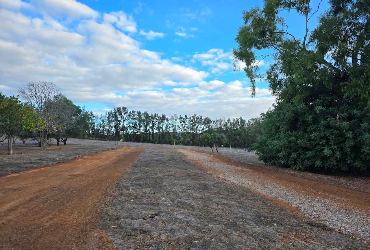Citrus Park – A peaceful escape