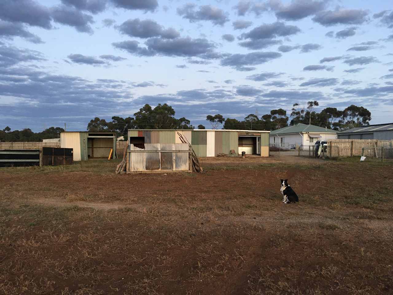 Lara Hobby Horse Centre