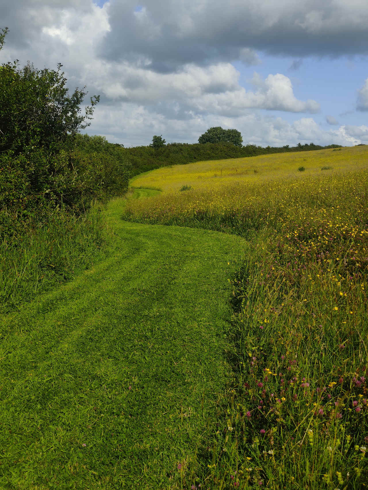 Higher Waytown Farm camping