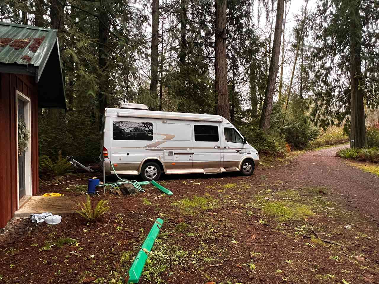 Magic Lantern- forested tiny home