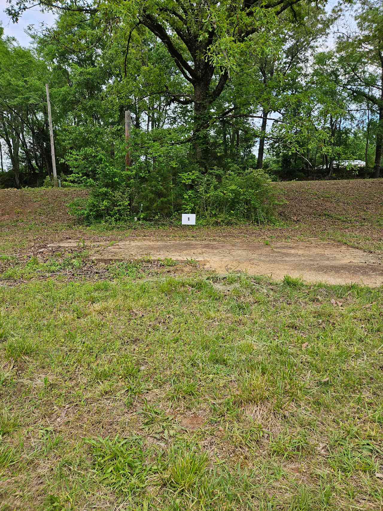 D' Campsite
