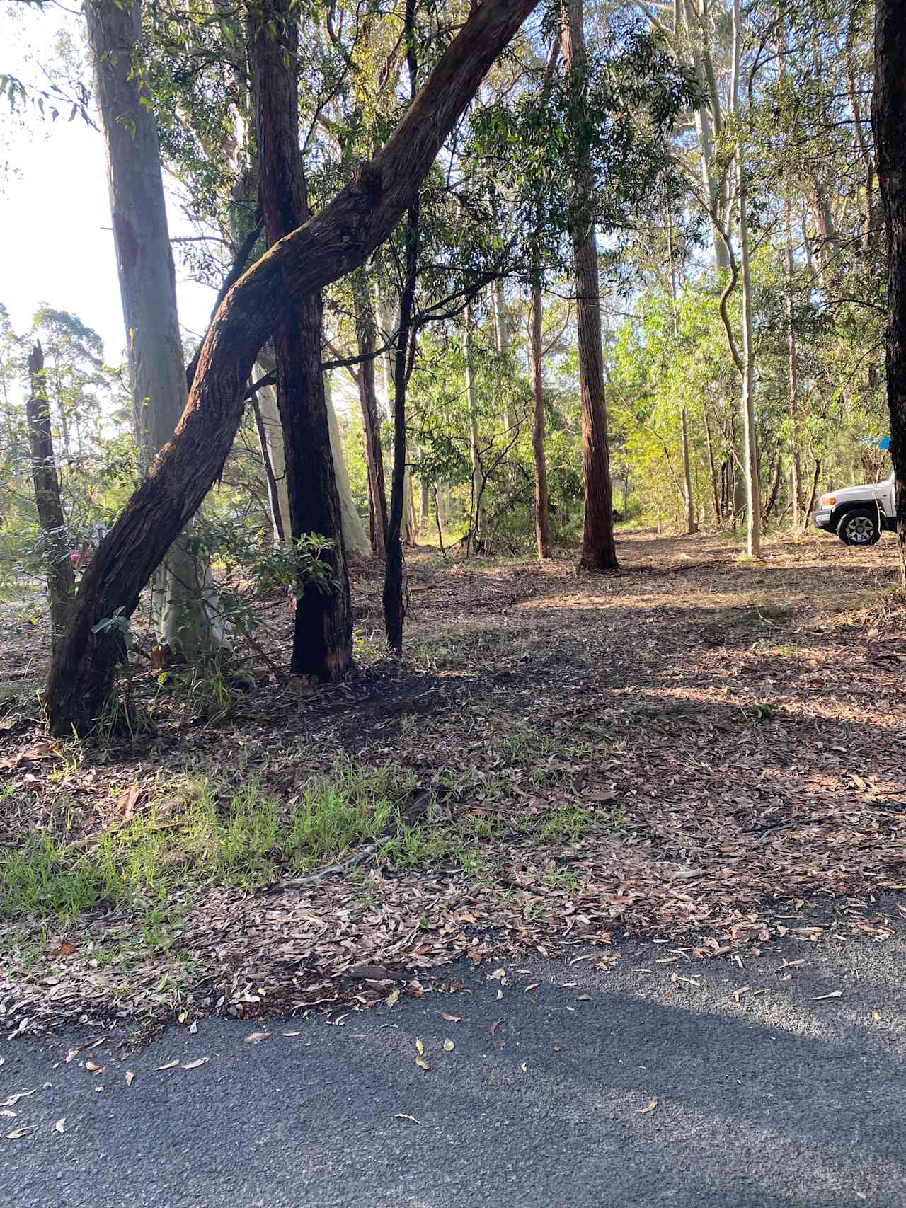 Birriga Bushland Camp