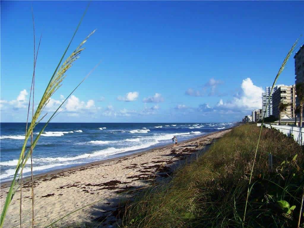 Nettles Island Coastal Resort