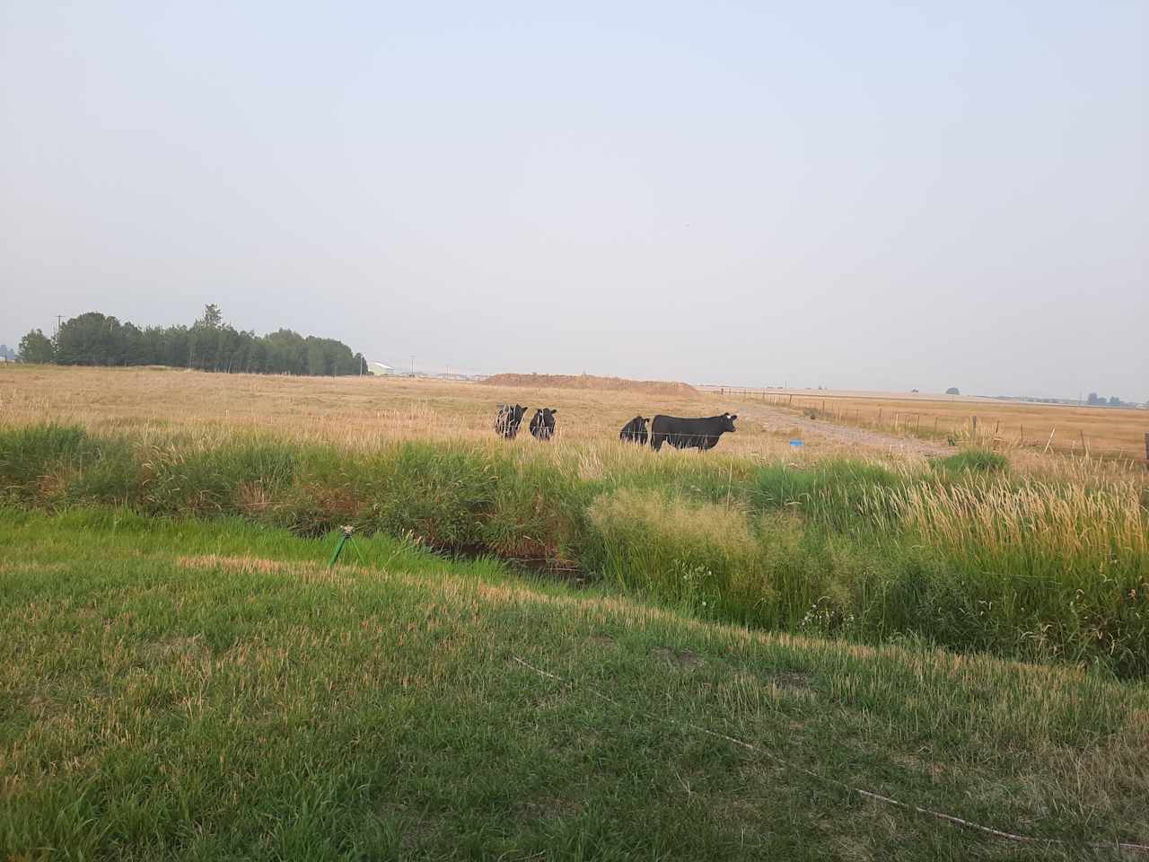 Creekside at Liberty Acres Bozeman