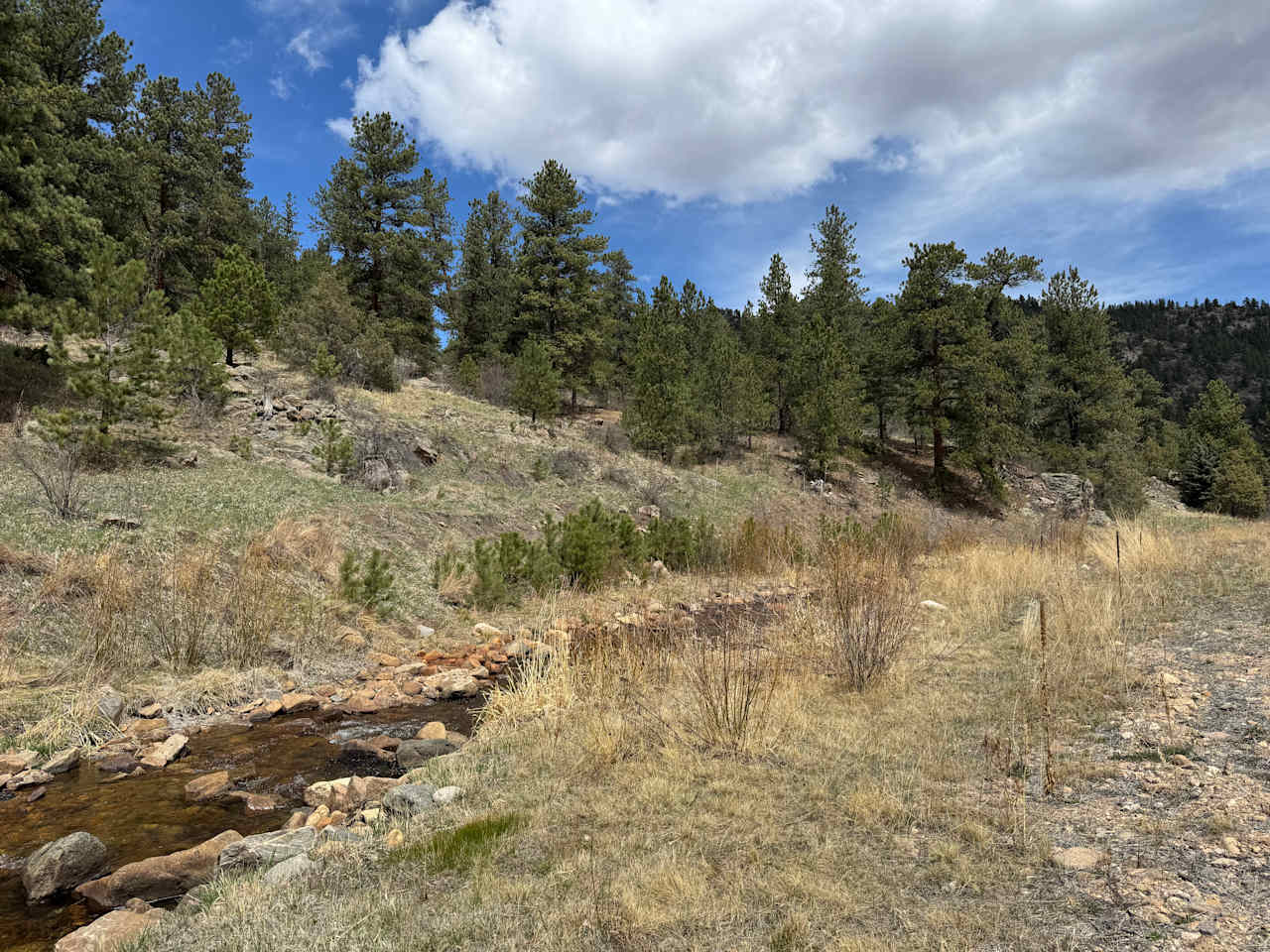 River campsite near Estes Park