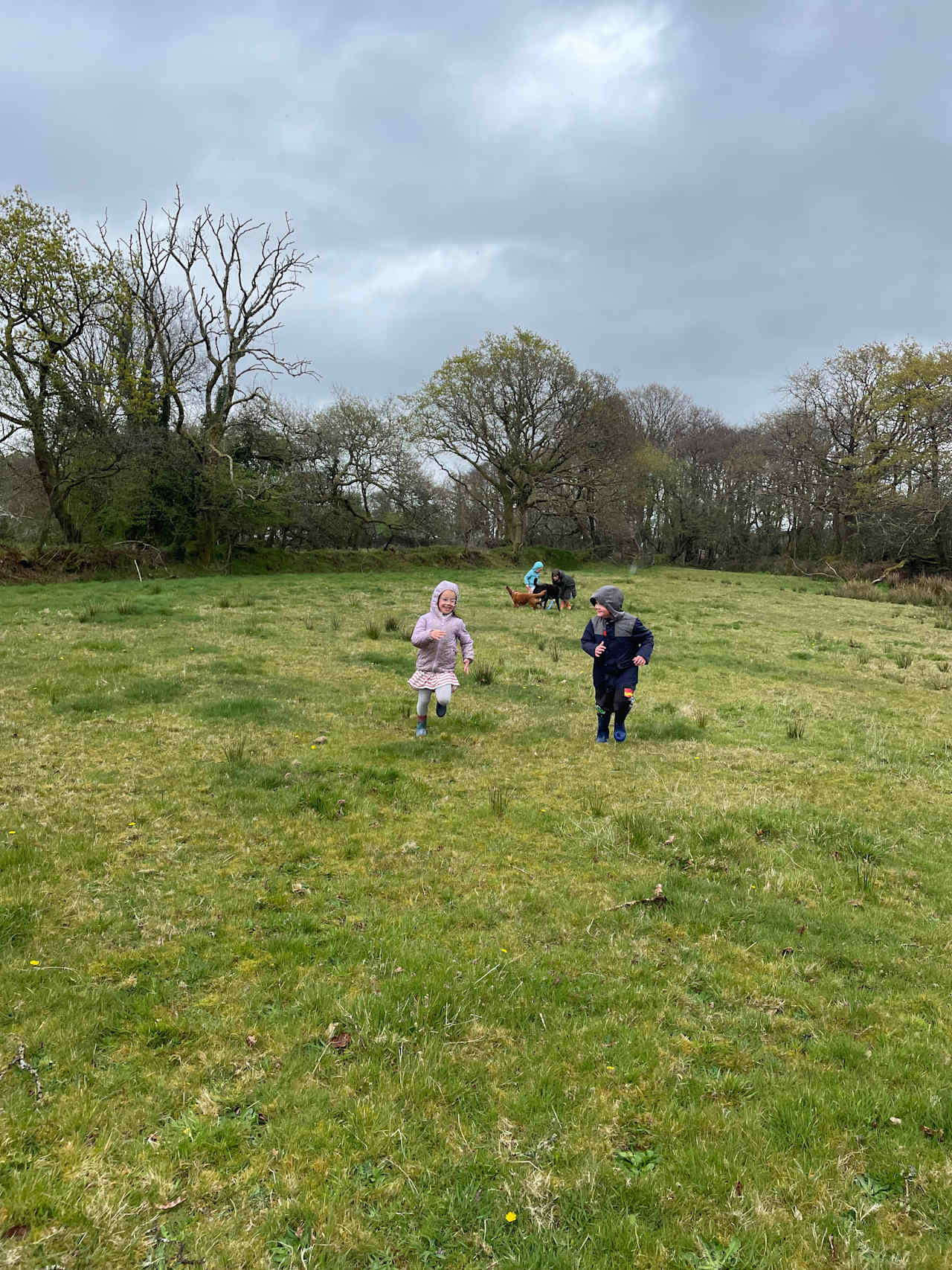Pencwm Escapes