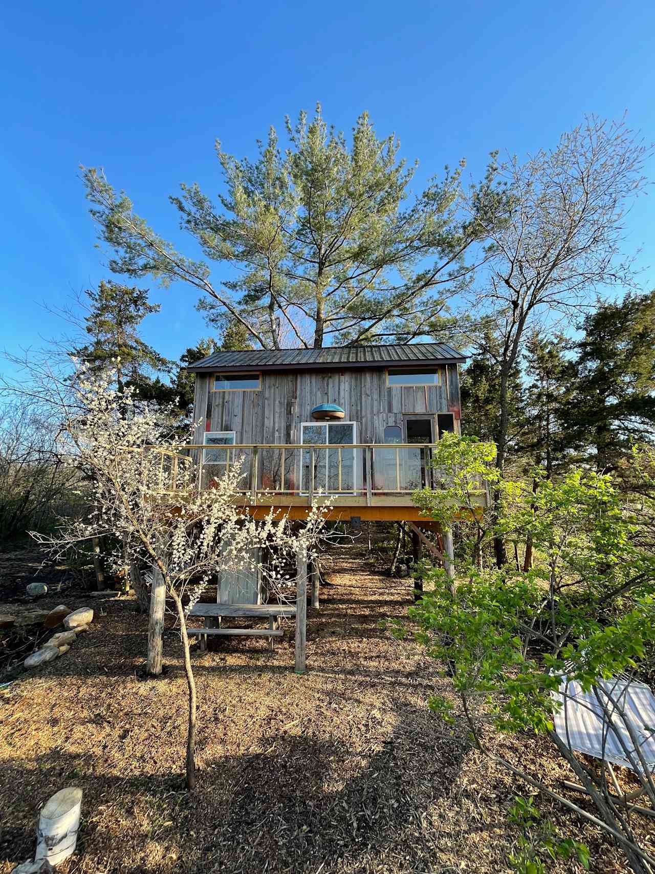 Rare Spacious Treehouse & Sauna