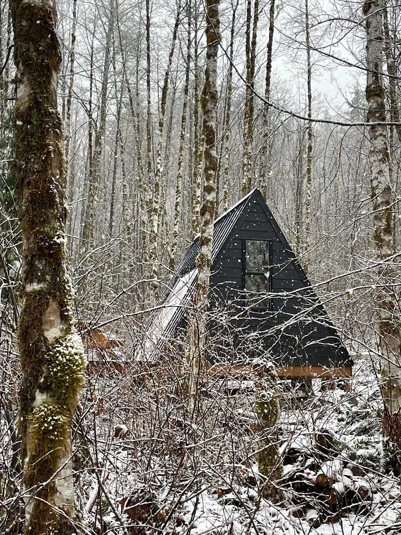 Tiny A-Frame on Cascade River