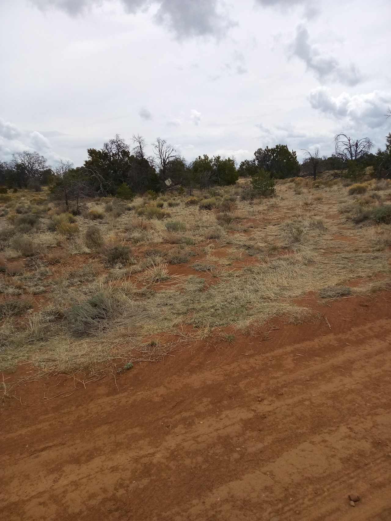 Camp Binary (See The Stars)