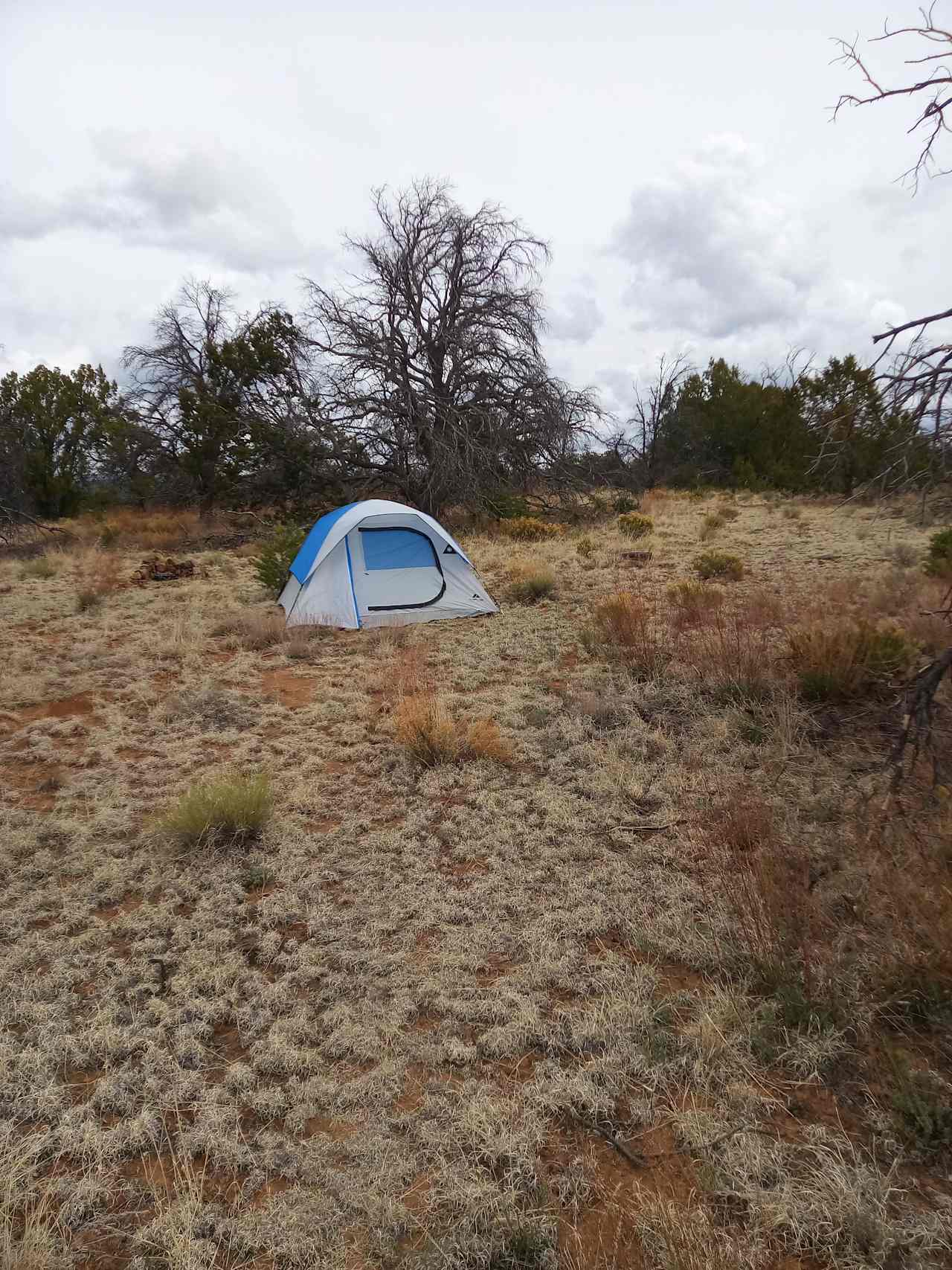 Camp Binary (See The Stars)