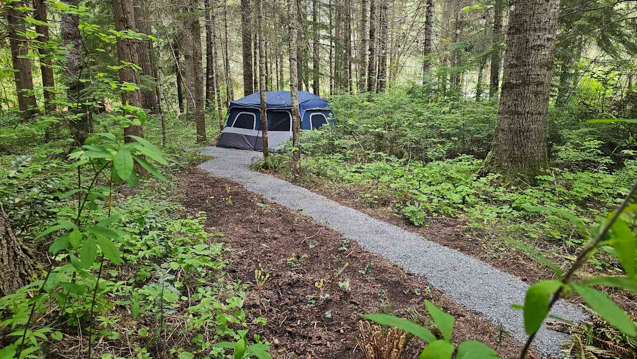 Rainier Pinecone Luxe