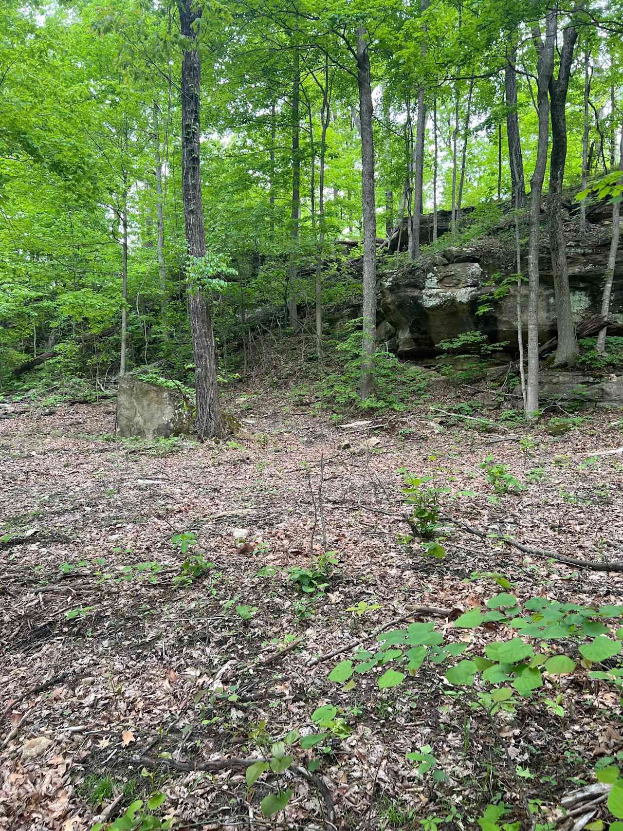 This is the back of the property next to what we call Tilting rock. Flat spots throughout and a pond close by. Since this is in the back of the property, the road to get here can get pretty muddy in rainy weather. Four wheel drive is recommended. Or you may park and hike in if wanted. 