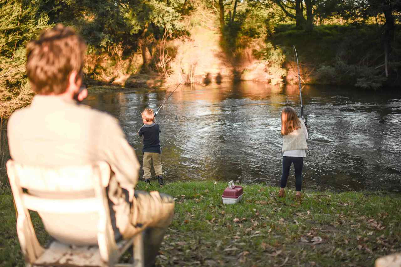 Fish in the river