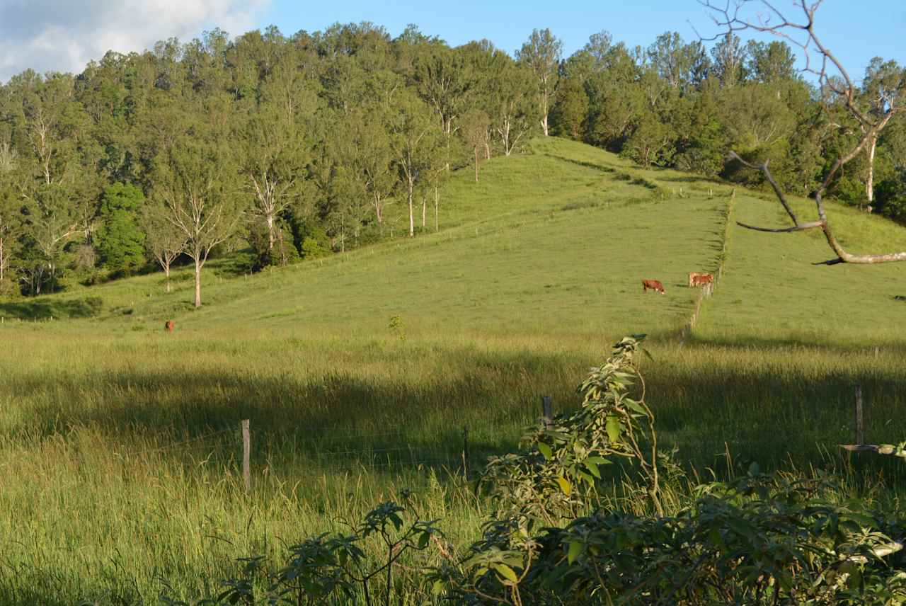 Beautiful  land