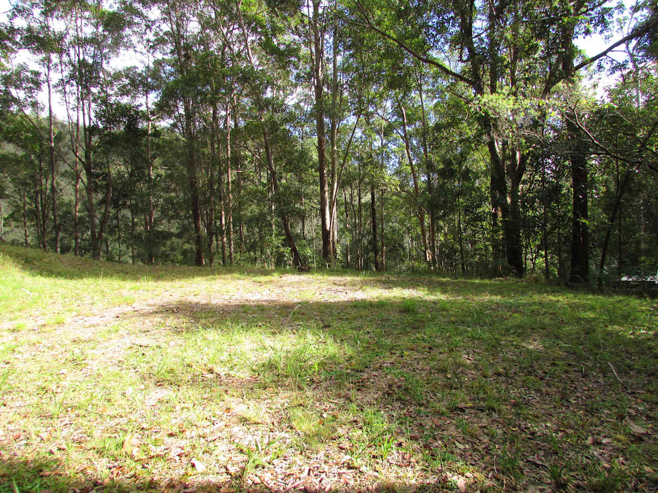 Eagles Nest Campsite - Large enough for two tents and cars