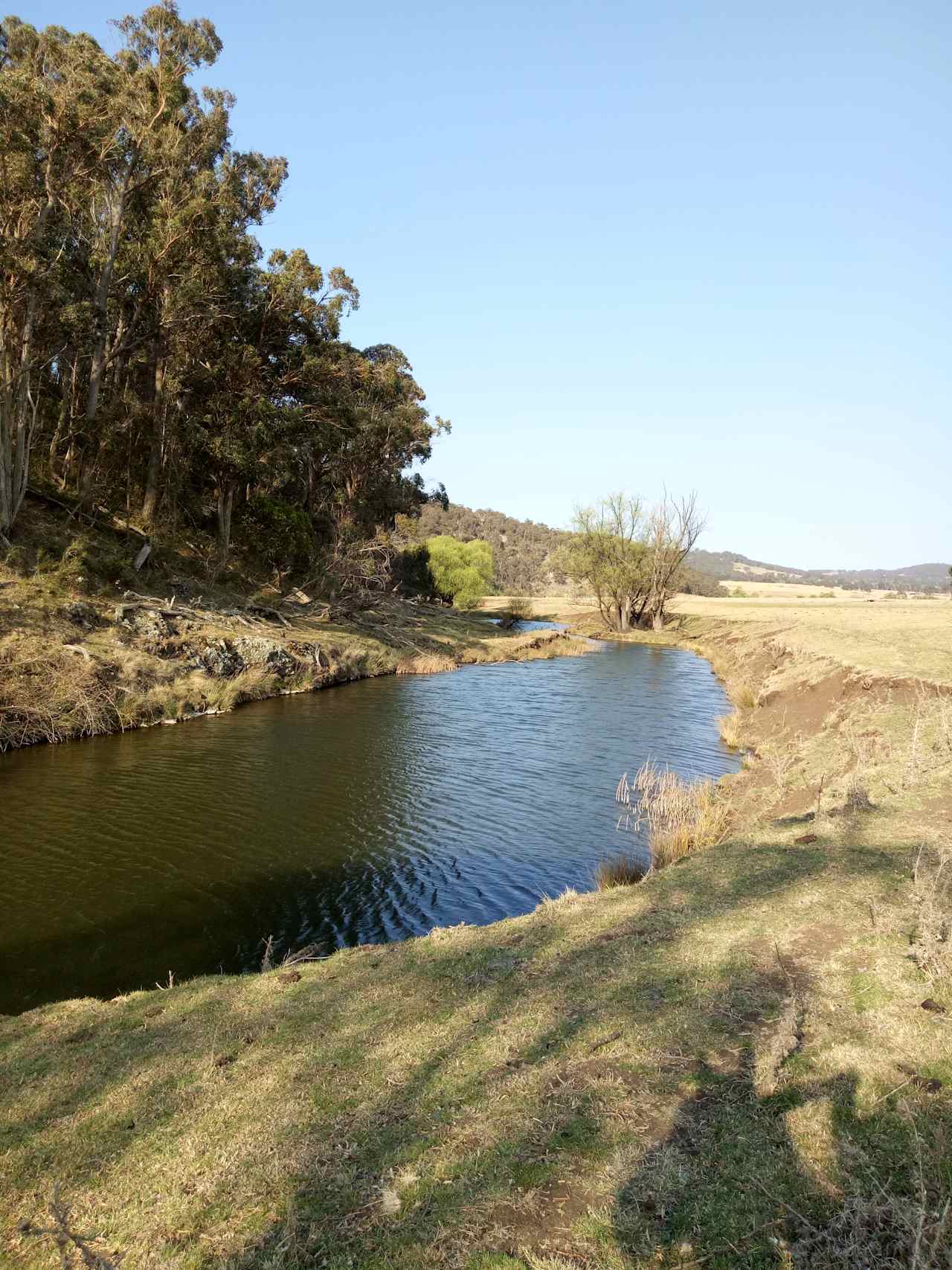 Briarfield