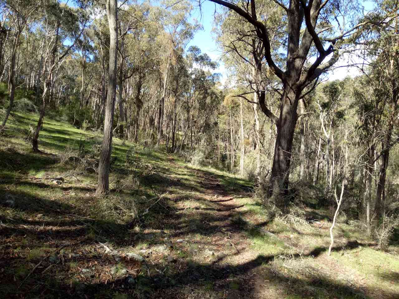Briarfield