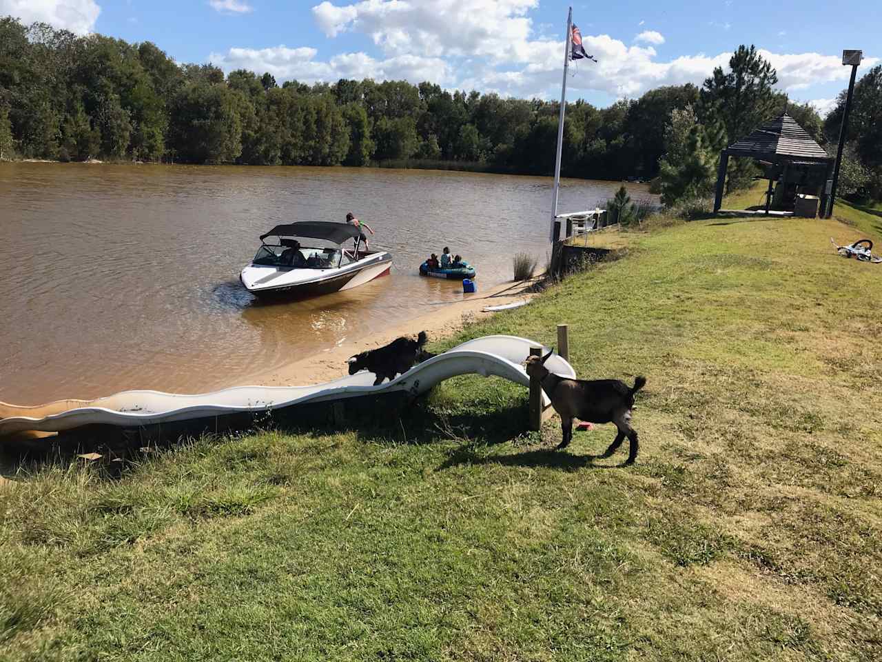 Bushywood at Woodfordskilake