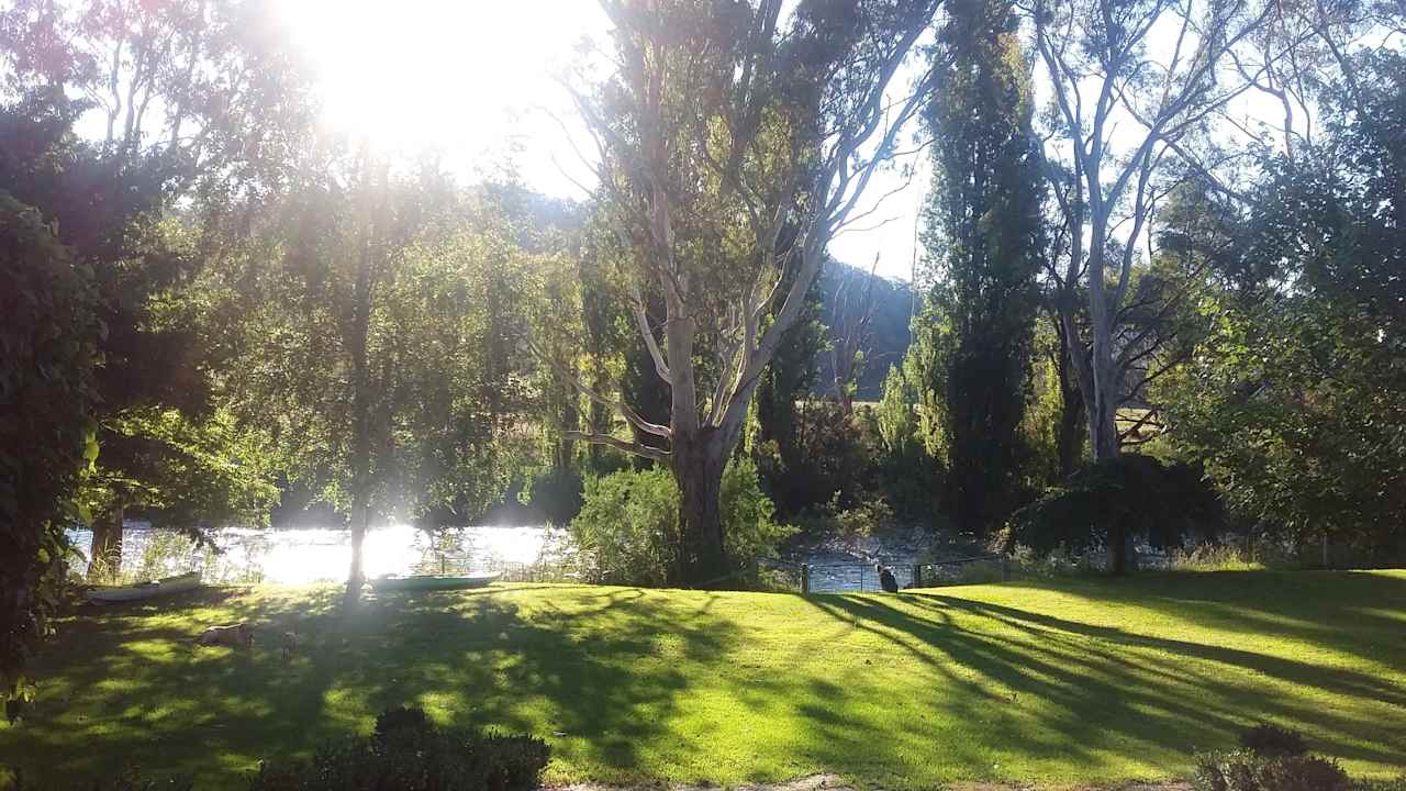 Mitta river running high