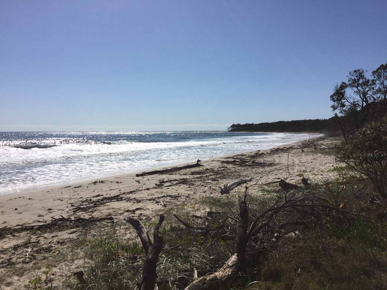 Woombah Woods Caravan Park