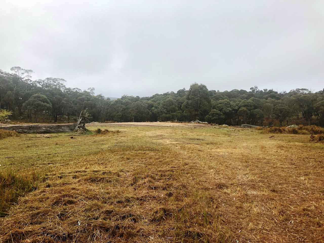 Jindalee