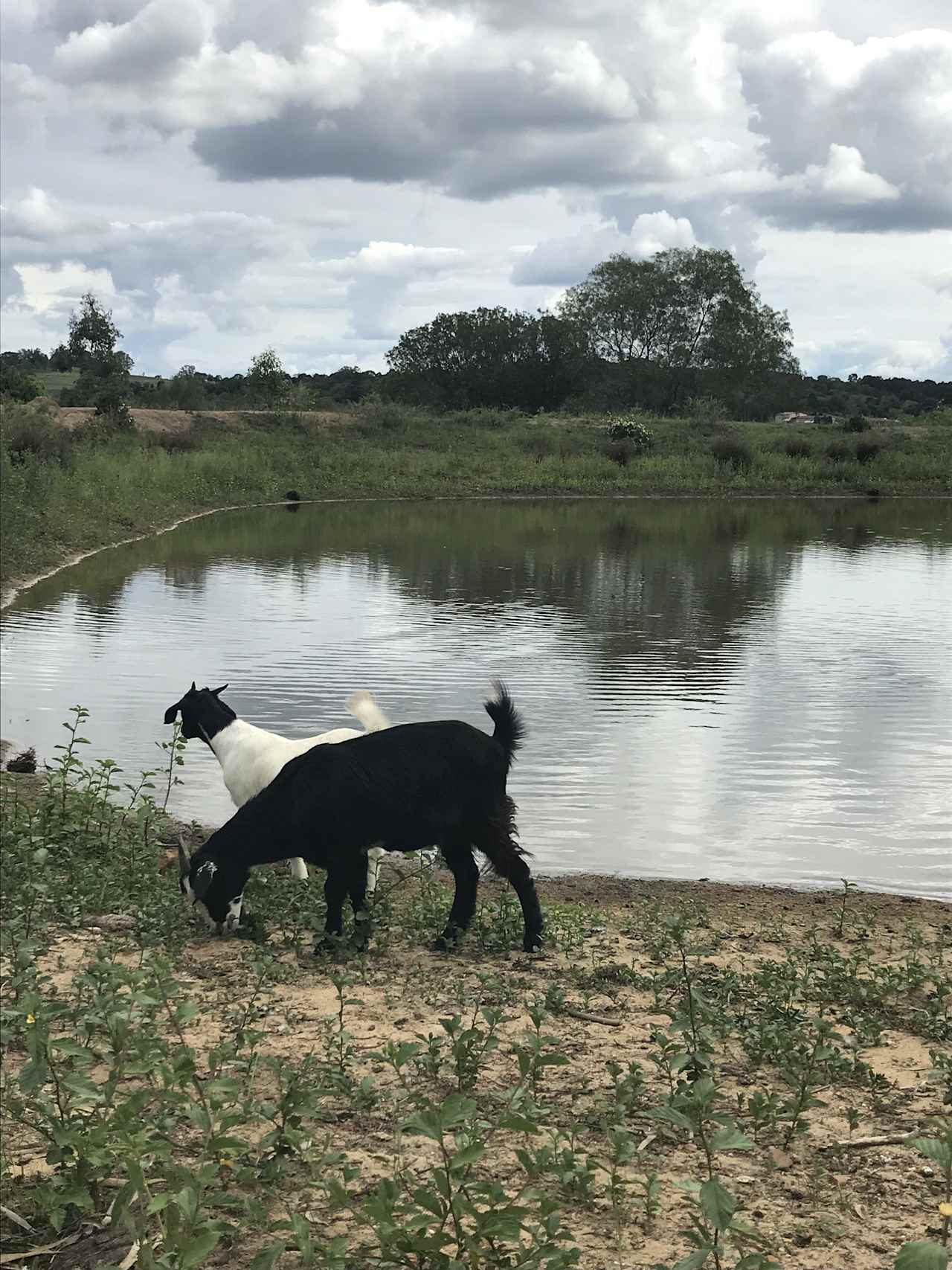Maggi & Nelly at Dam