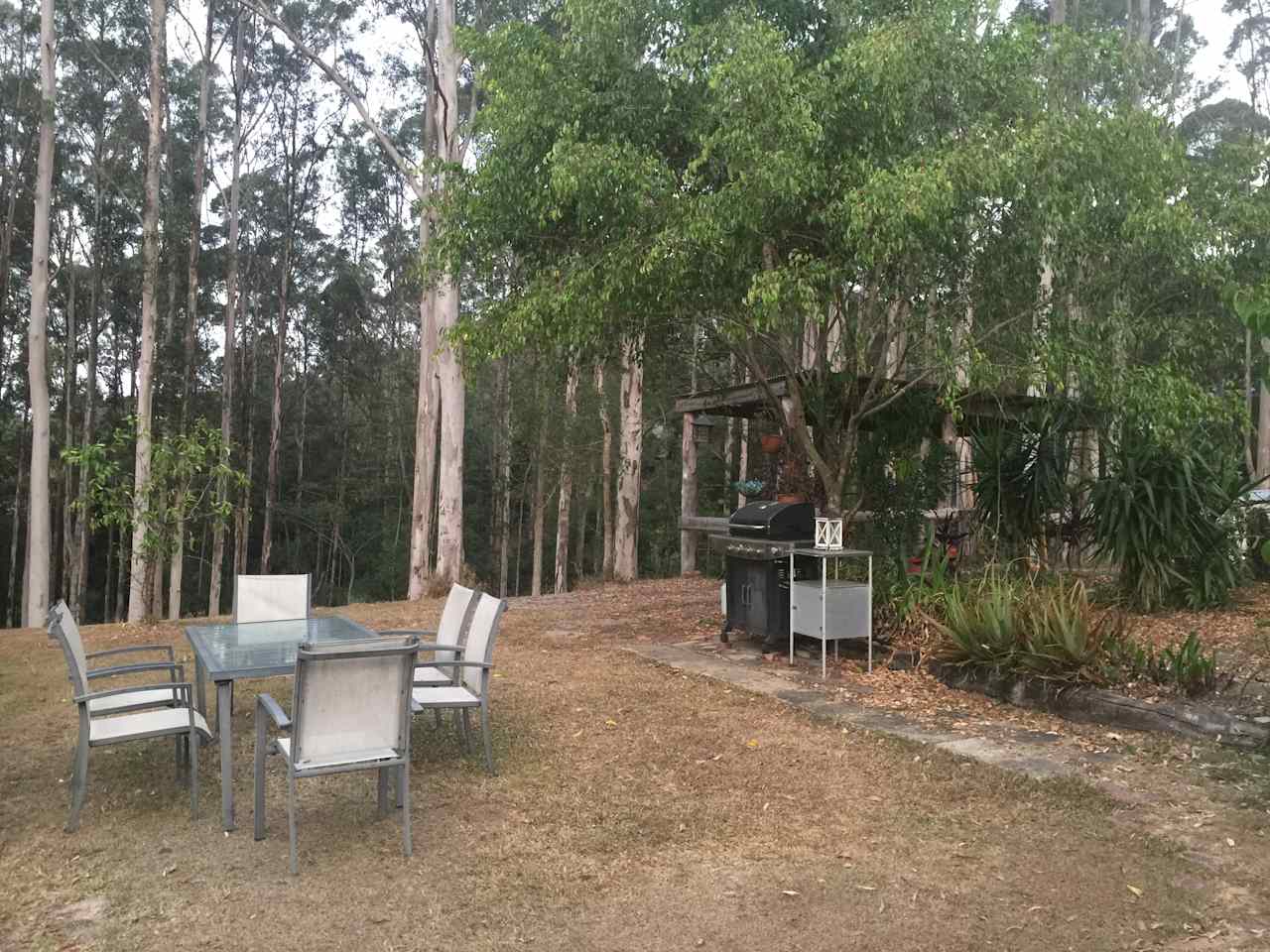 BBQ, Table and Firepit