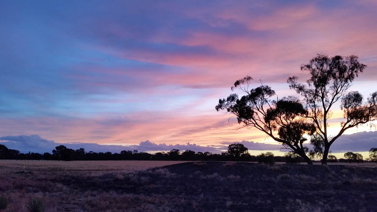 Beautiful sunsets