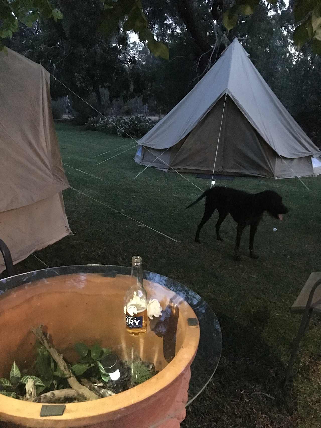 Near the pool on the lawn