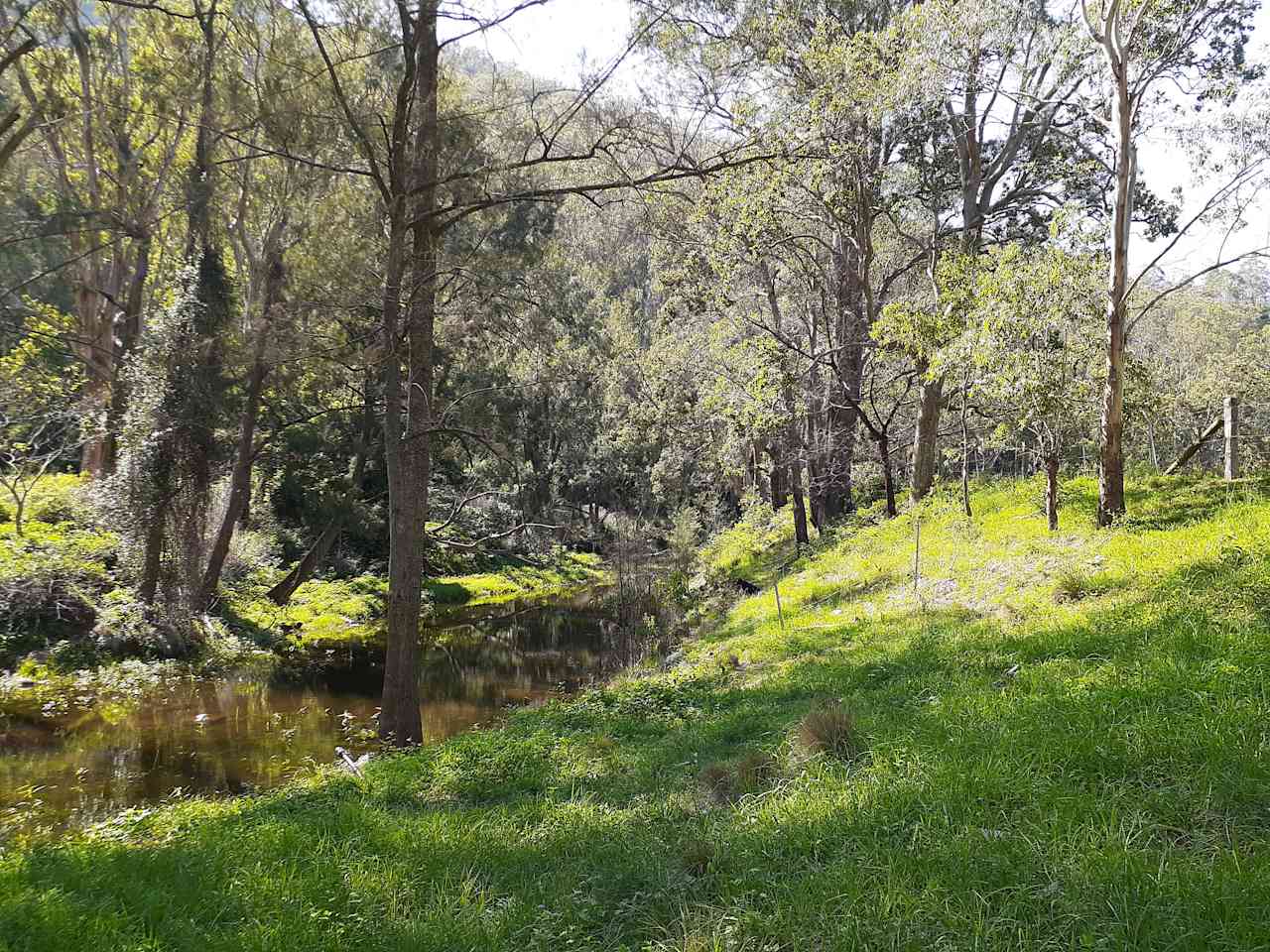 Water hole in Orchard paddock