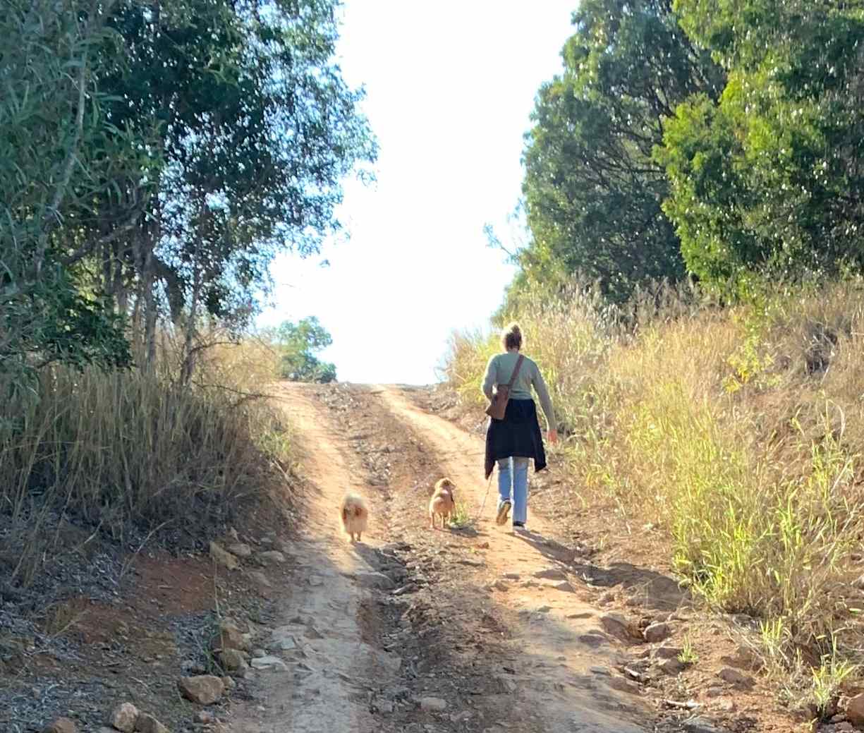 Postman's track walk/ride/4WD