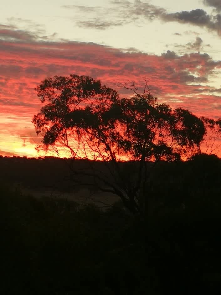 sunset from paddock