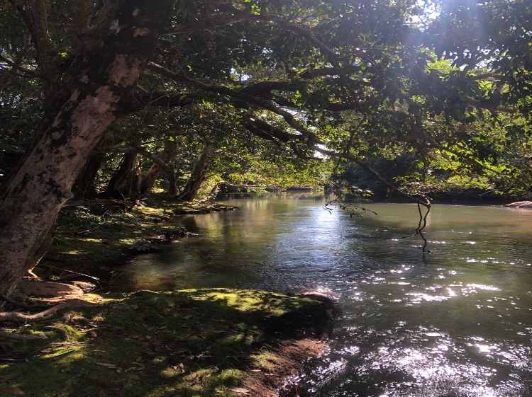 Inspiring Mena creek