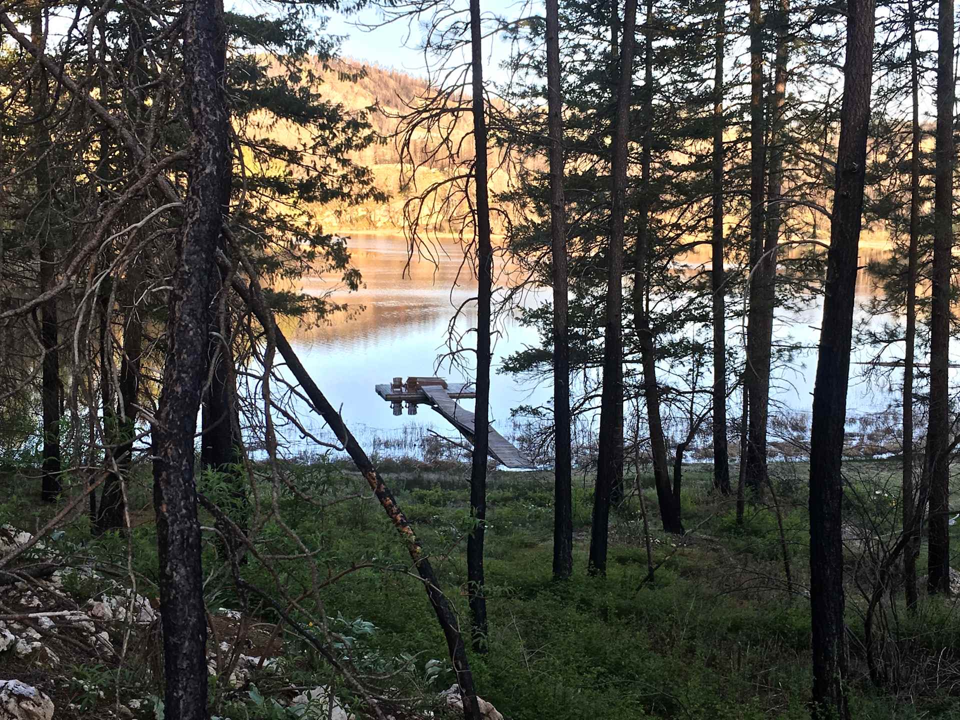 Picture of the site