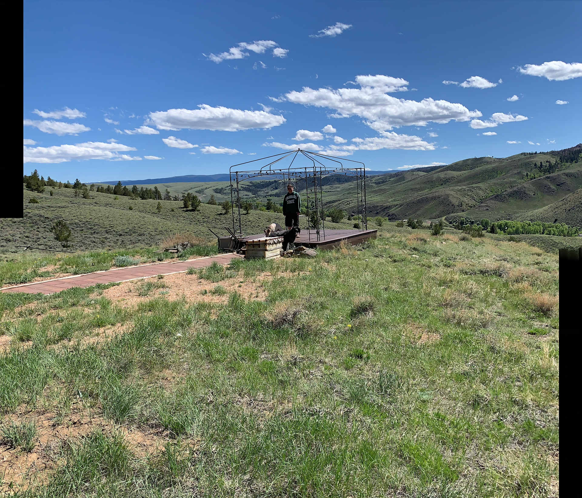 Picture of the site