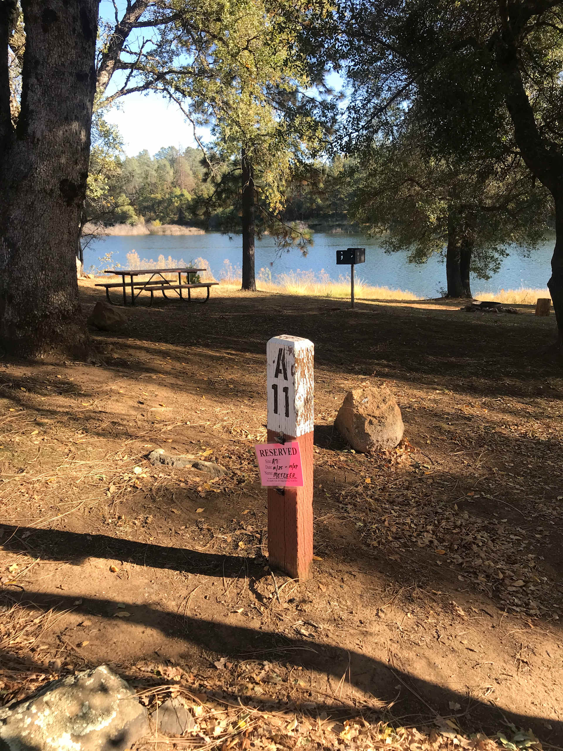 Picture of the site