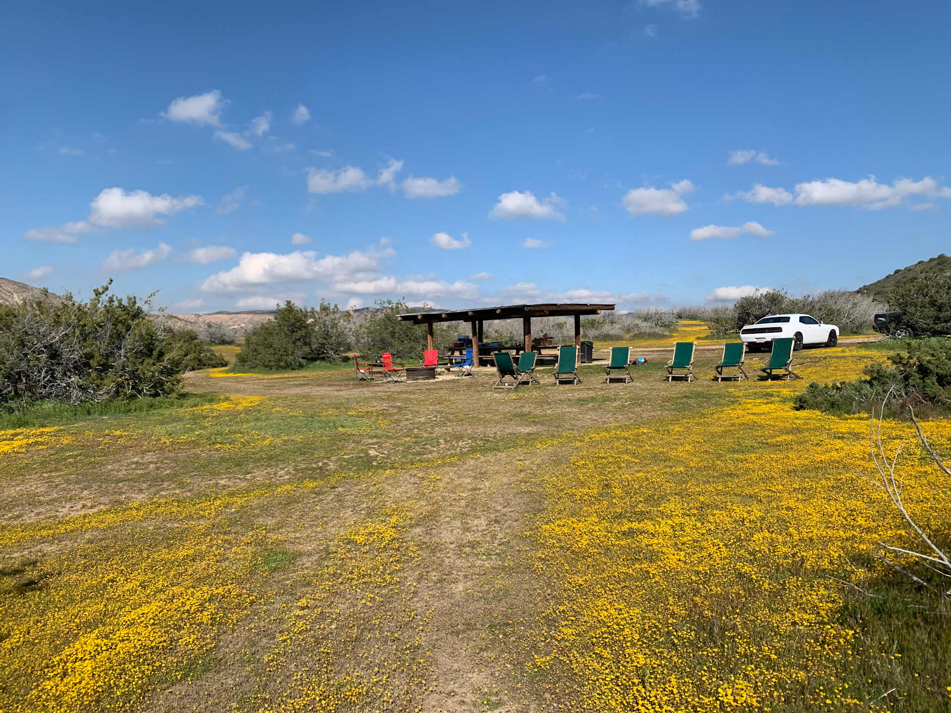 Picture of the site