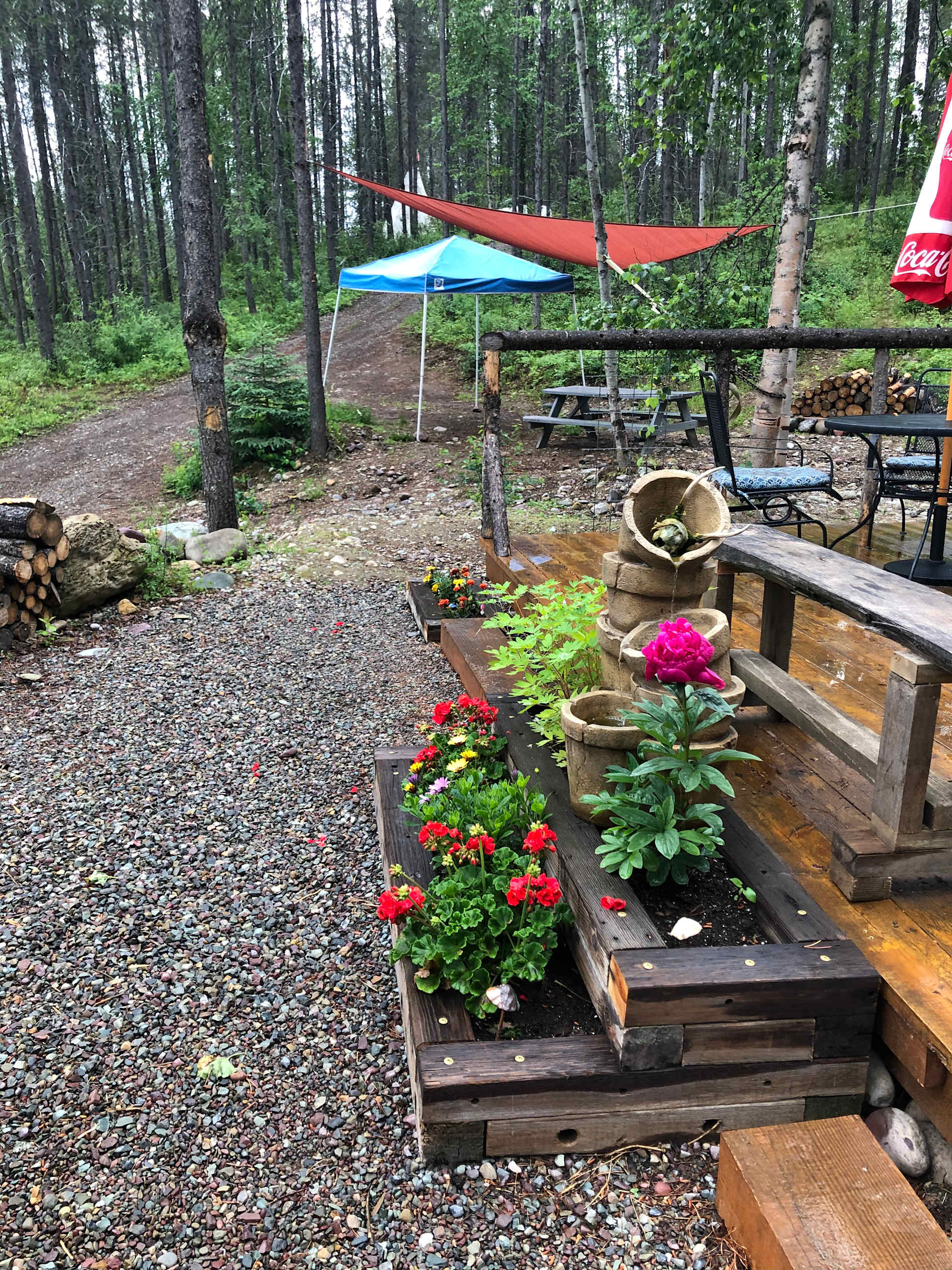 Picture of the site