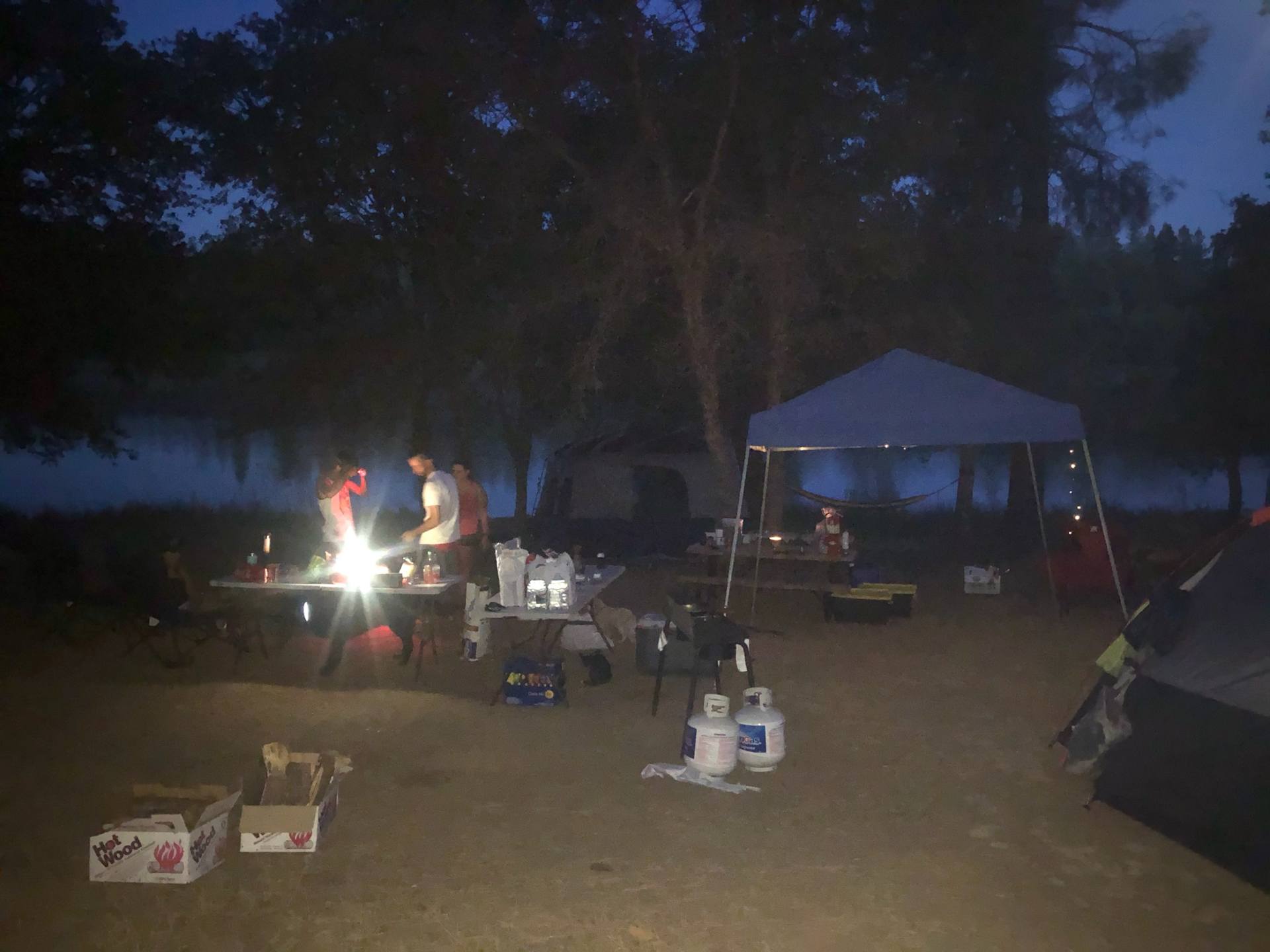 Picture of the site