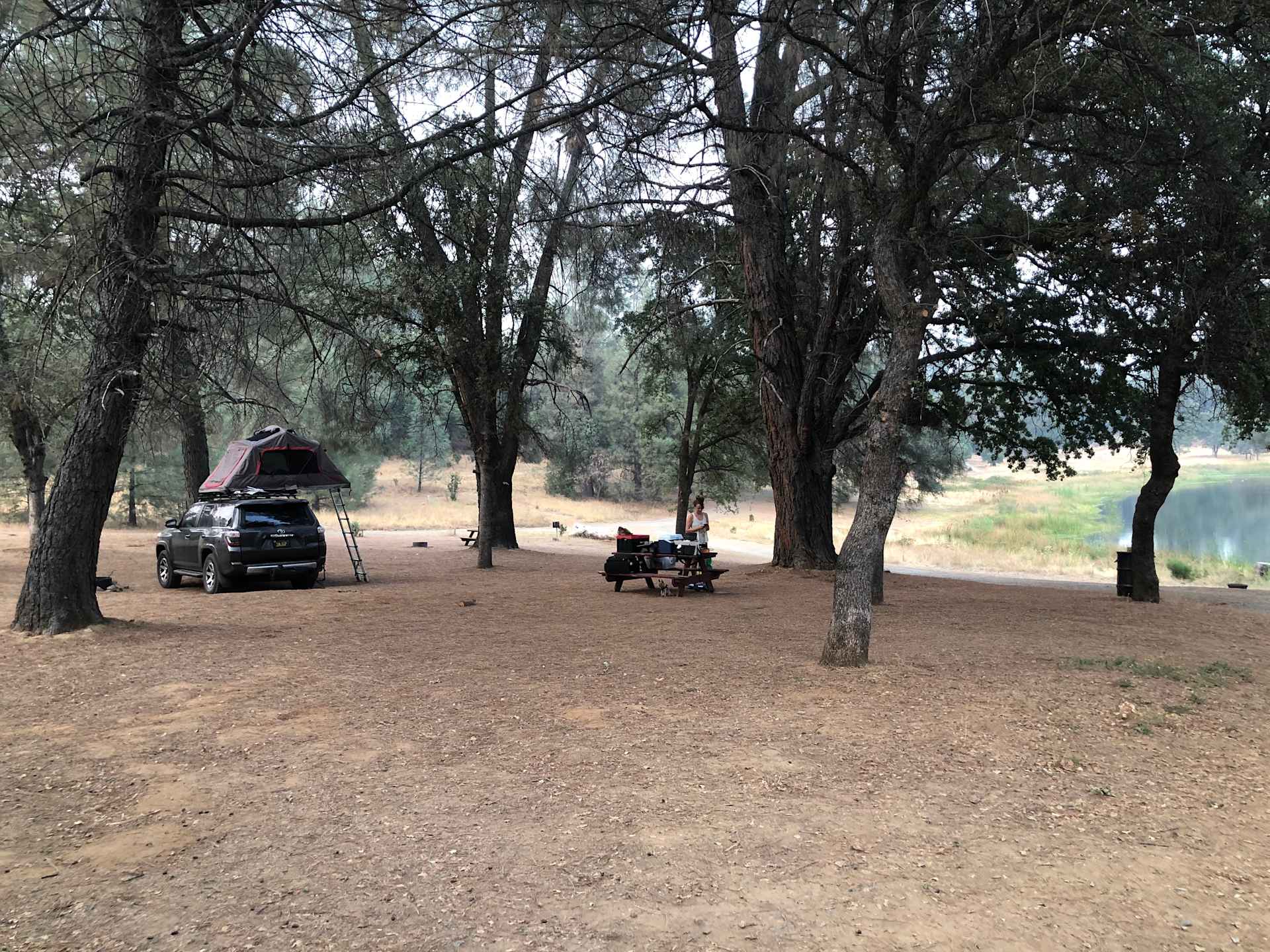 Picture of the site