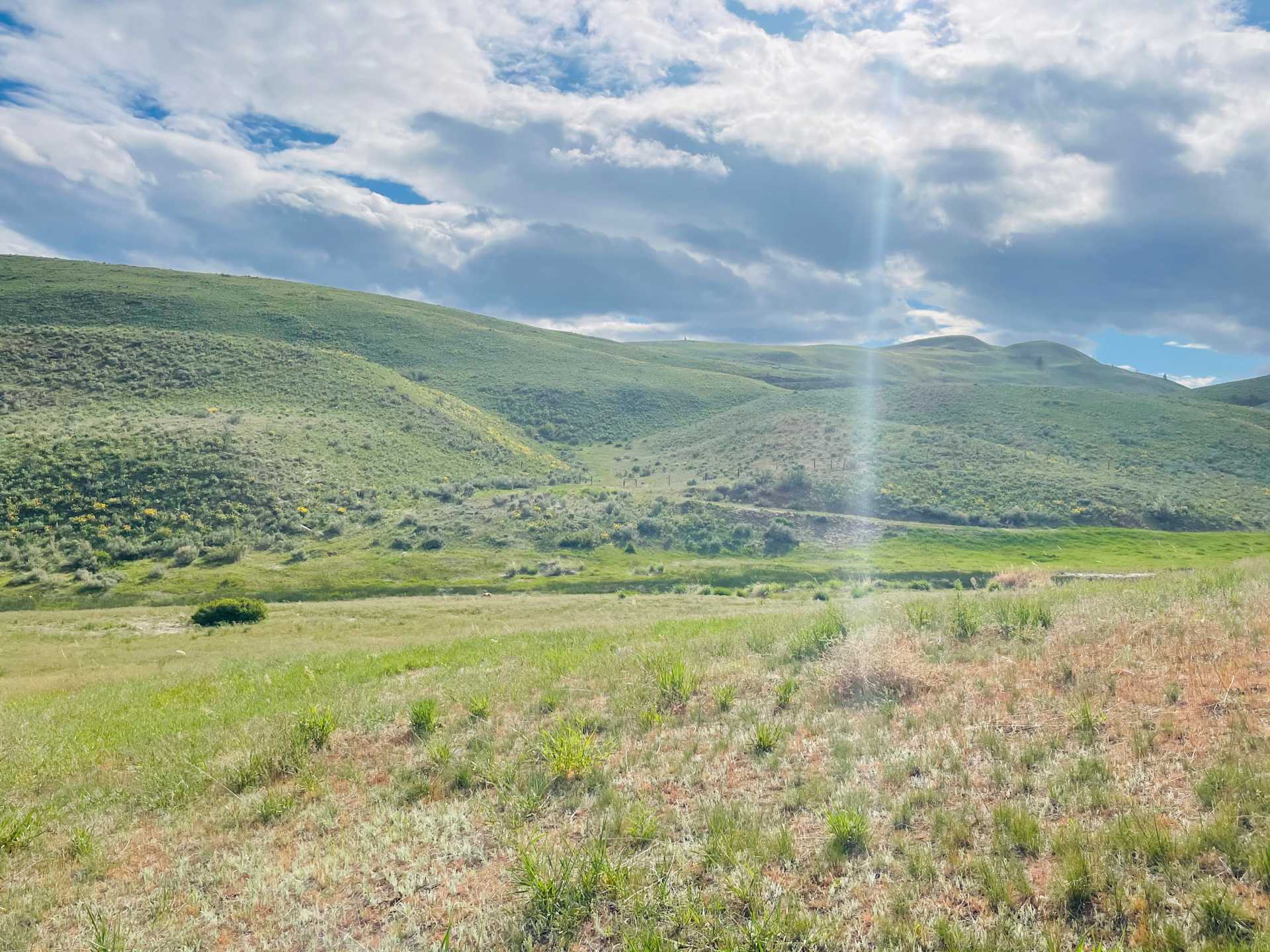 Picture of the site
