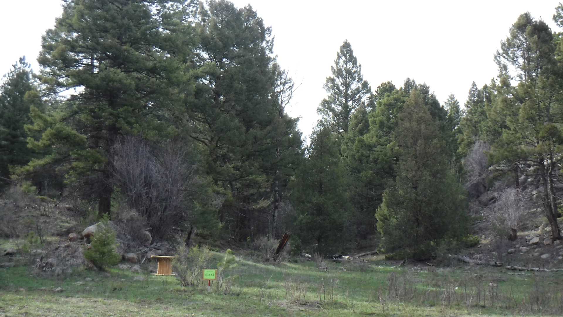 Picture of the site